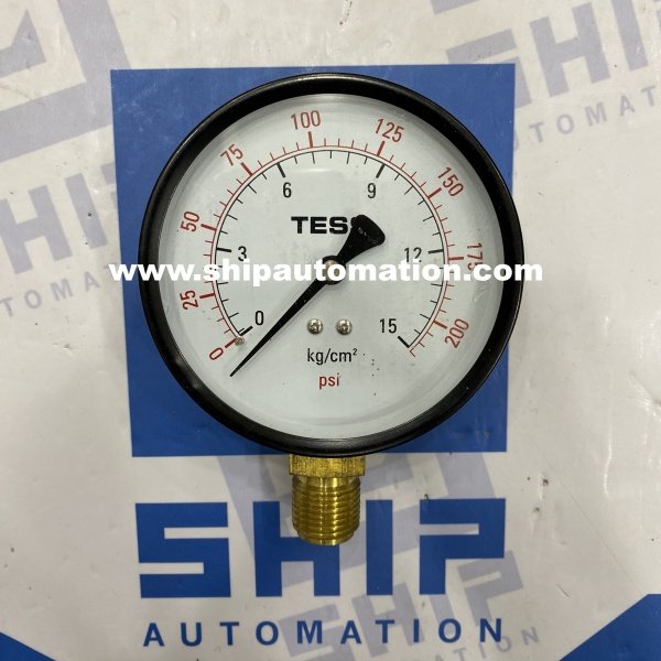 Tess B100D (0…..15 Kg/cm2) | Pressure Gauge
