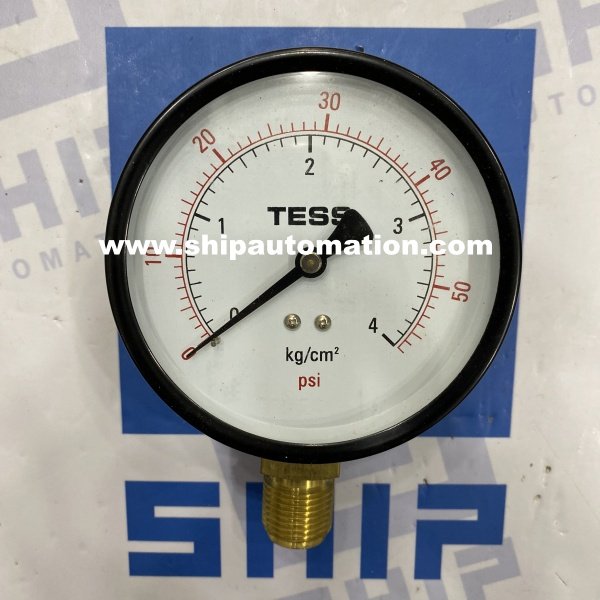 Tess B100D (0…..4 Kg/cm2) | Pressure Gauge