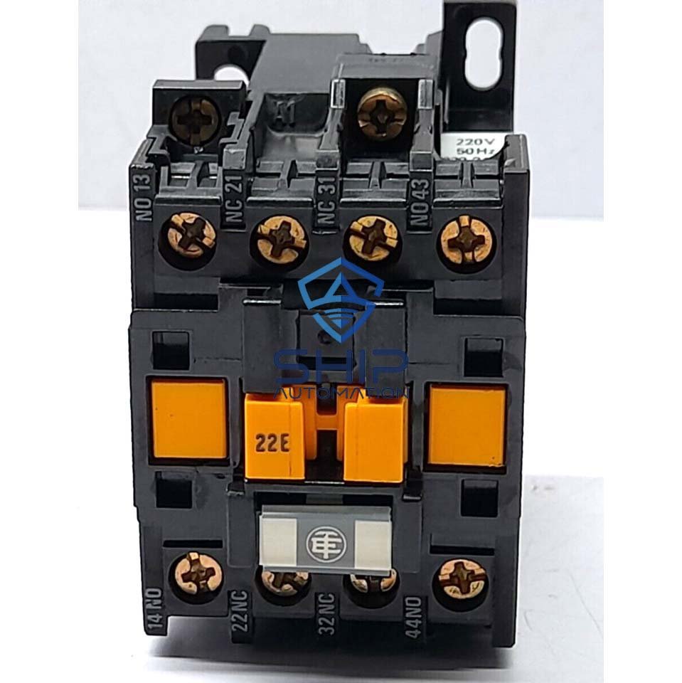 Telemecanique CA2.DN 1229.A 65 | Contactor Relay