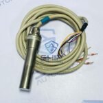 Saacke FLS 09 | Flame sensor and Detector