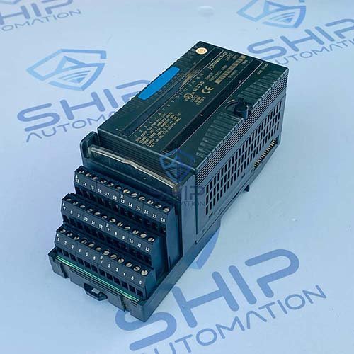 GE Fanuc IC200MDL640F | Analog Input