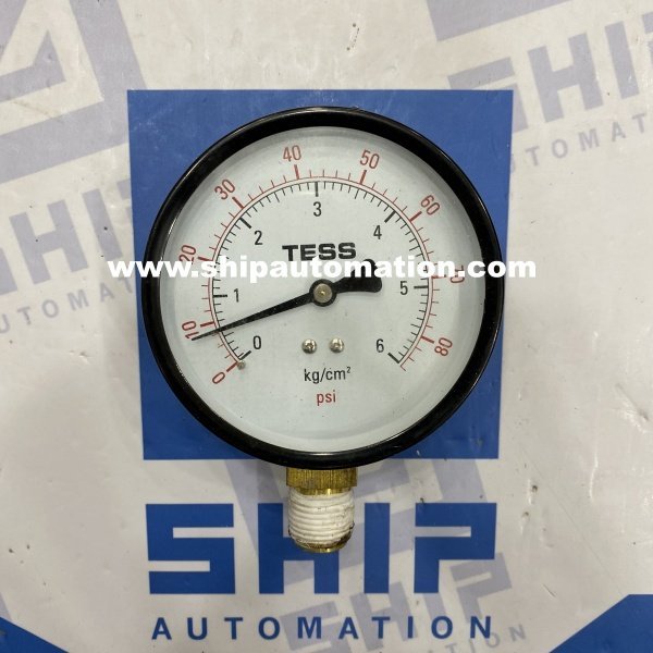 Tess B100D (0.....6 Kg/cm2) | Pressure Gauge