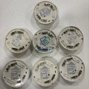 WhatsApp Image 2026 01 05 at 5.58.22 PM copy